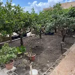 Casetta Mangiapane Casa vacanze *